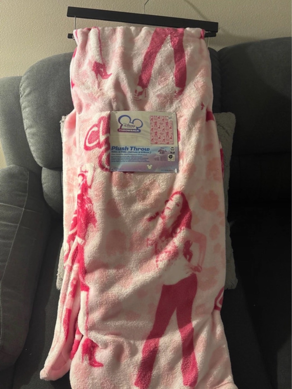 Disney Cheetah Girls Plush Throw Blanket